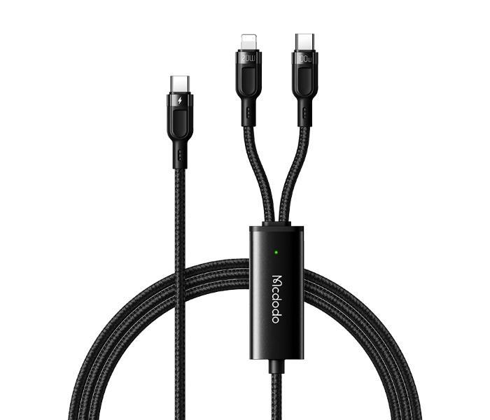 2in1 PD Fast Charging Cable (C to C+L)